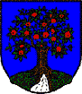 Uživatelský avatar