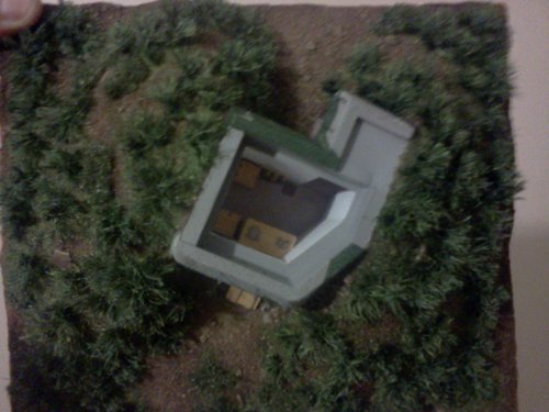 IMG2068.jpg