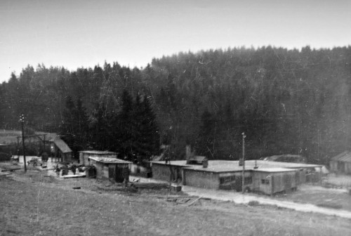 P3210017.JPG