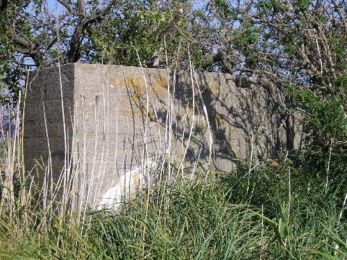 P1010280.JPG